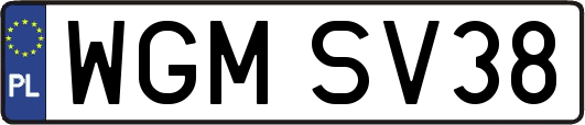 WGMSV38