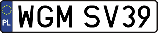 WGMSV39
