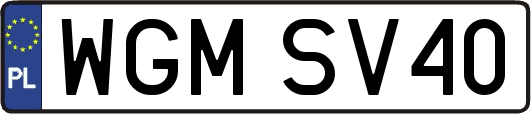 WGMSV40