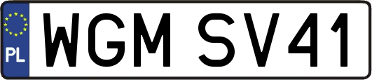 WGMSV41
