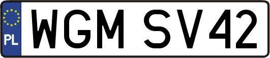 WGMSV42