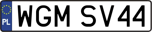WGMSV44