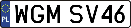 WGMSV46