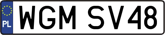 WGMSV48