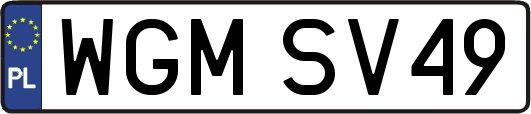WGMSV49