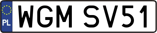 WGMSV51