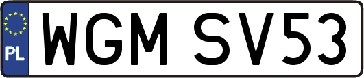 WGMSV53
