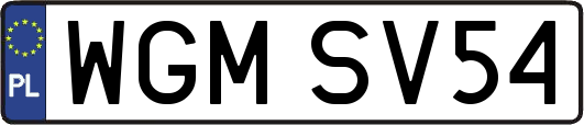WGMSV54