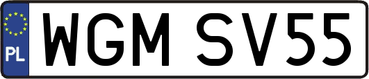 WGMSV55