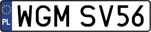 WGMSV56