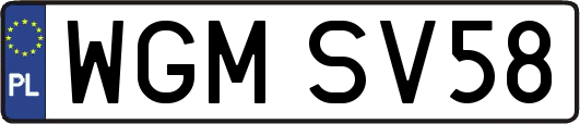 WGMSV58