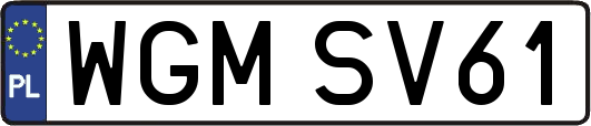 WGMSV61