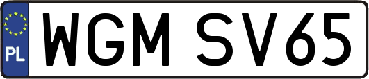 WGMSV65