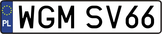 WGMSV66
