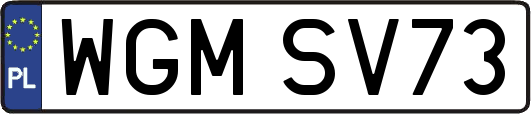 WGMSV73