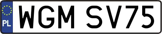 WGMSV75