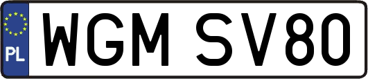 WGMSV80