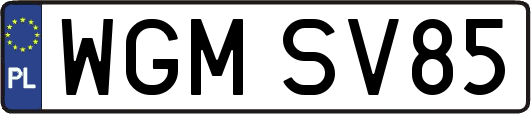 WGMSV85