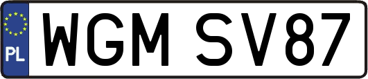 WGMSV87