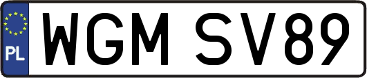 WGMSV89