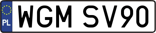 WGMSV90
