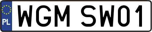 WGMSW01