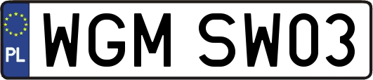 WGMSW03