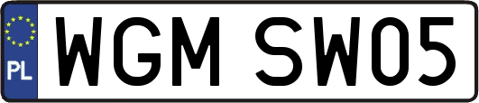 WGMSW05
