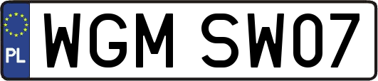 WGMSW07