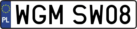 WGMSW08