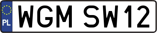 WGMSW12