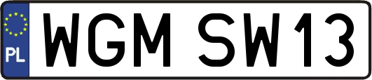 WGMSW13