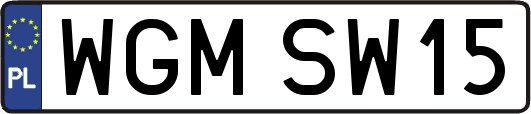 WGMSW15