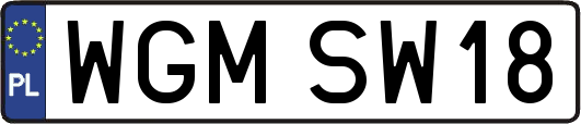 WGMSW18