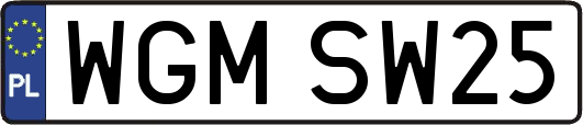WGMSW25