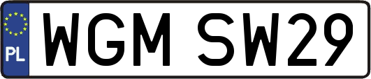 WGMSW29