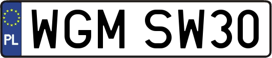 WGMSW30