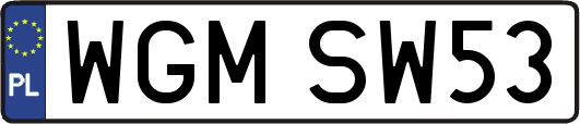 WGMSW53