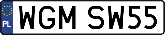 WGMSW55
