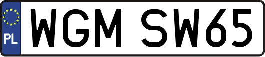 WGMSW65
