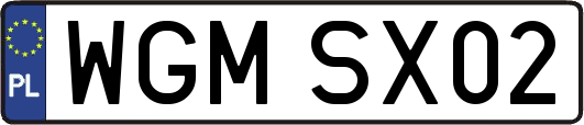 WGMSX02
