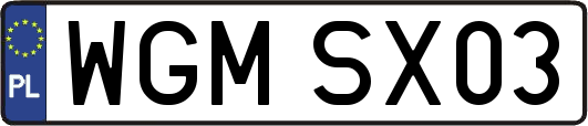 WGMSX03