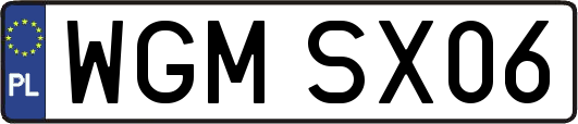 WGMSX06