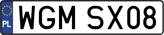 WGMSX08