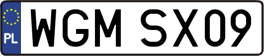 WGMSX09