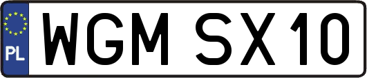 WGMSX10
