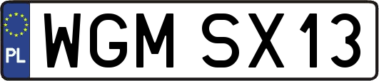 WGMSX13