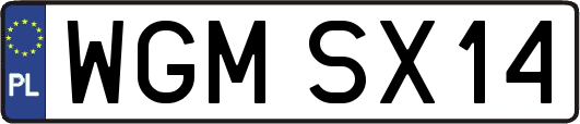 WGMSX14