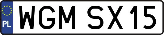 WGMSX15