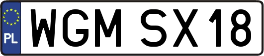 WGMSX18